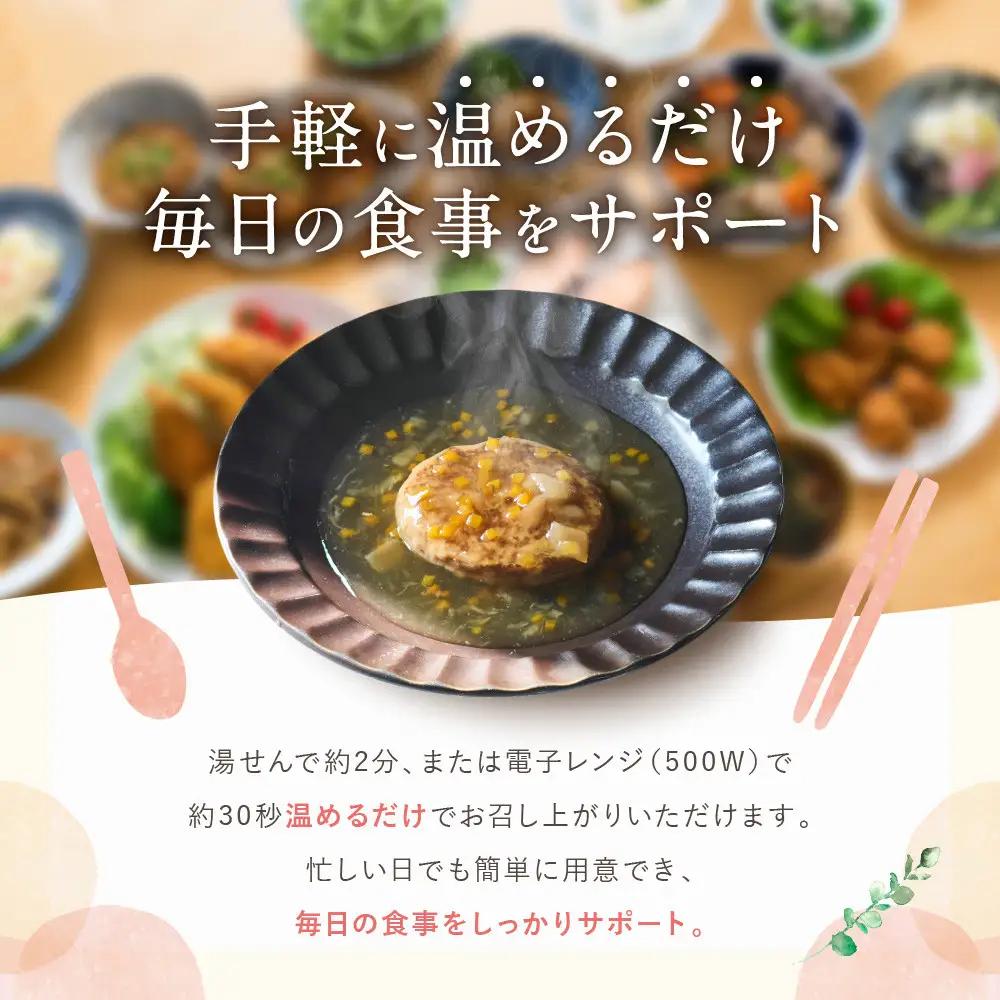介護食 やわらか煮込みハンバーグ 10個｜レトルト 介護食品