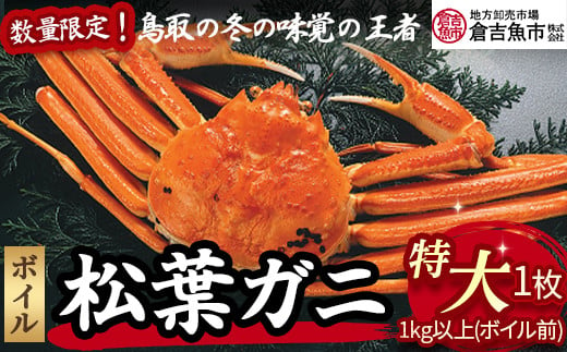 【倉吉魚市】ボイル松葉がに（特大）ボイル前 1kg以上  ボイル 松葉ガニ ズワイガニ カニ爪 冷蔵 数量 期間 限定 数量限定 カニ ずわいがに 国産 倉吉市