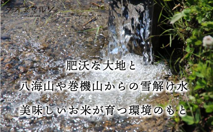 【令和７年産】【お米定期便/全３回】おかずのいらない 魚沼産コシヒカリ　無洗米５ｋｇ