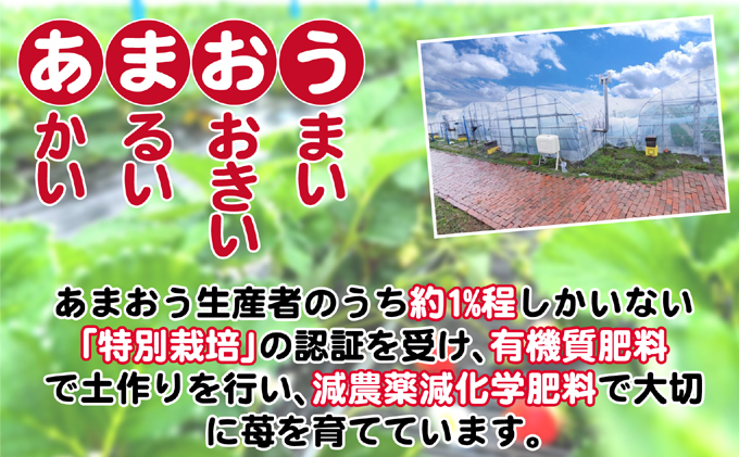 定期便 2回 うるう農園 2026年1月発送 特選 あまおう 400g ゆう美果樹園 2026年9月発送 ピオーネ 1～3房 約1kg いちご ピオーネ セット ※配送不可：離島