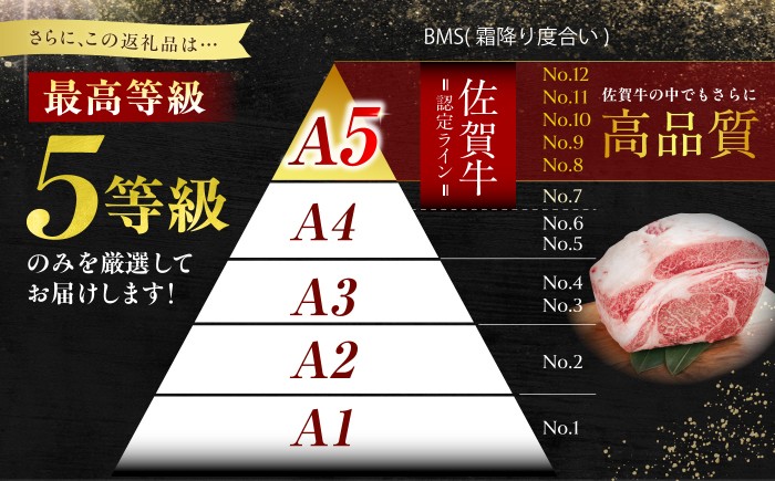佐賀牛 A5 ヒレステーキ 200g （100g×2枚）【山下牛舎】[HAD172]牛肉 肉 ヒレ フィレ ステーキ 希少部位