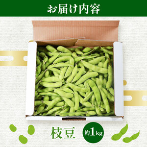 【香ばし旨味】大粒 甘み香ばしい 無農薬 枝豆1kg 上田ファーム 自然栽培旬の味 枝豆 1kg 大粒 甘い 香ばしい ホクホク 新鮮 無農薬 有機 自然栽培 エコ 安心 安全 通販 お取り寄せ 贈答