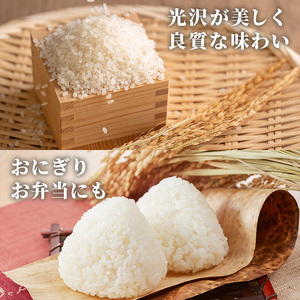 ≪令和7年産≫【3回定期便・無洗米】【食味鑑定士厳選】福岡県産 夢つくし(総計30kg・5kg×2袋×3回) 米 無洗米 お米 おこめ ごはん ゆめつくし ご飯 常温 福岡県産 ブランド米 定期便 定