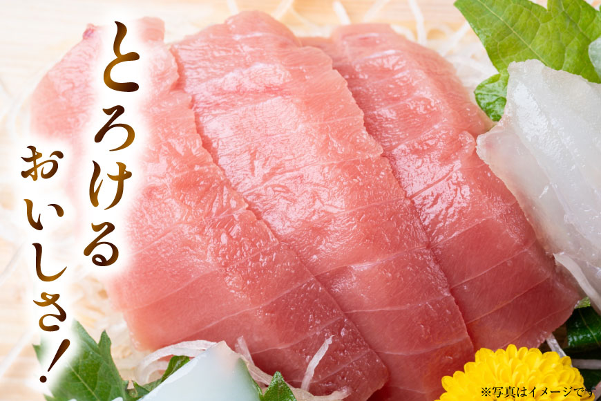 特撰 中トロマグロ（メバチマグロ）１柵 150g [川印　村田漁業 宮城県 気仙沼市 20563398] 魚介 魚 海鮮 まぐろ 鮪 マグロ メバチマグロ トロ とろ 中トロ 刺身