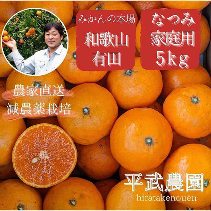 【ふるさと納税】農家直送！なつみオレンジ 家庭用5kg【平武農園】～蛍飛ぶ町から旬の便り～ | みかん 蜜柑 フルーツ 果物 くだもの 食品 人気 おすすめ 送料無料