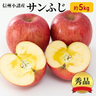 【ふるさと納税】サンふじりんご 秀品 約5kg 長野県産 果物類 林檎 りんご リンゴ フルーツ 小諸市　お届け：2025年11月下旬～12月上旬