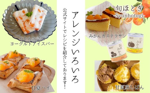 缶詰工場直送　特選果実「旬ほとぎ」温州みかん　12缶【B5-058】 みかん ミカン 温州みかん 缶詰 みかん缶 シラップ漬け