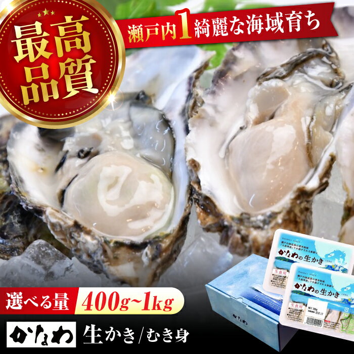 【ふるさと納税】広島牡蠣の老舗かなわ【生牡蠣】【選べる内容量】安心・安全の新鮮牡蠣 牡蠣 400g〜1kg かき むき身 パック入り 生食用 魚介類 海鮮 広島県産 江田島市/株式会社かなわ[XBP001] 牡蠣 生食 むき身 殻付き かき カキ 生牡蠣 カキフライ 広島牡蠣