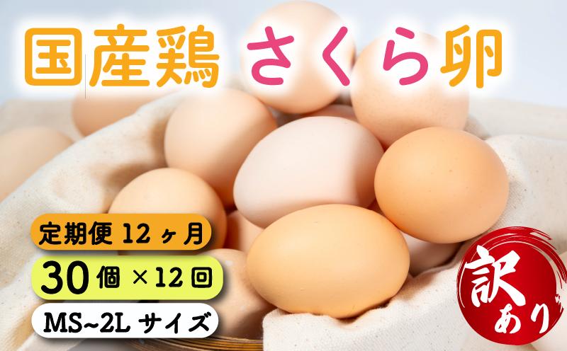 定期便 卵 30個 ( たまご 25個 + 割れ補償 5個 ) 12回 12ヶ月 定期便  国産 鶏 さくら 簡易包装 コクのある 濃い 風味 とれたて 生たまご 滋賀 地産地消 の 飼料米 玉子