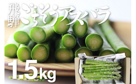 2026年産 根本までムシャムシャ食べれるアスパラ 水村農園 飛騨のきれいな水と澄んだ空気が育んだ柔らか甘いアスパラガス　L~2L 1.5kg グリーンアスパラ アスパラ [B0201x] syun79