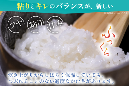米 無洗米 令和7年 青森県産 青天の霹靂 5kg [わか本米店 青森県 おいらせ町 oi02ayo800008]