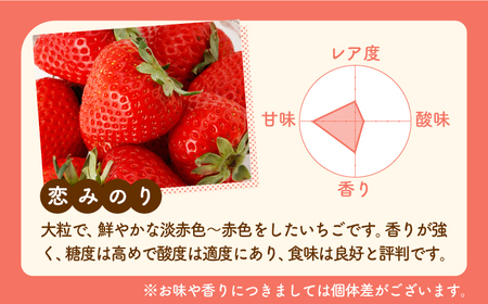 【4回定期便】【先行予約】食べ比べ！恋みのり＆さがほのか 定期便 /赤いちご いちご食べ比べ 甘いいちご 化粧箱入りいちご イチゴ 苺  佐賀県産いちご ブランドいちご さがほのか 少ない酸味のいちご