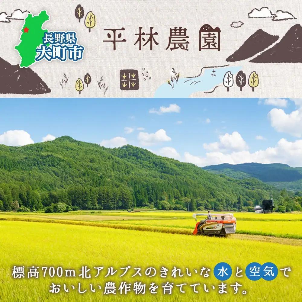 【2026年10月発送】令和8年産 つきあかり 無洗米 10kg×1袋 長野県産 米 精米 お米 ごはん ライス 甘み 農家直送 産直 信州 人気 ギフト お取り寄せ 平林農園 送料無料 長野県 大町