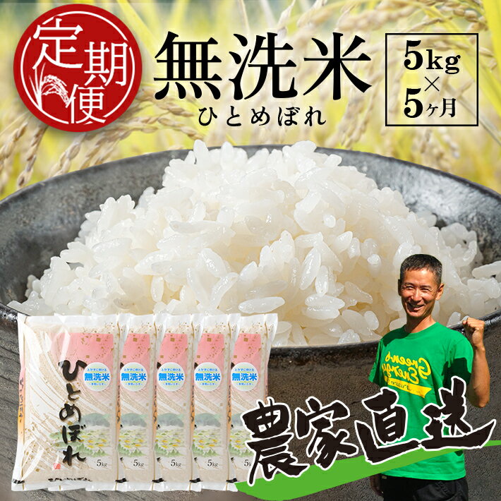 【ふるさと納税】≪新米予約≫ ≪5ヶ月定期便≫ 無洗米 ひとめぼれ 5kg×5ヶ月 計25kg 令和7年産米 山形県産 毎月下旬にお届け 精米 白米 米 定期便 連続定期便 5回 小分け 東北 山形県 酒田市 庄内