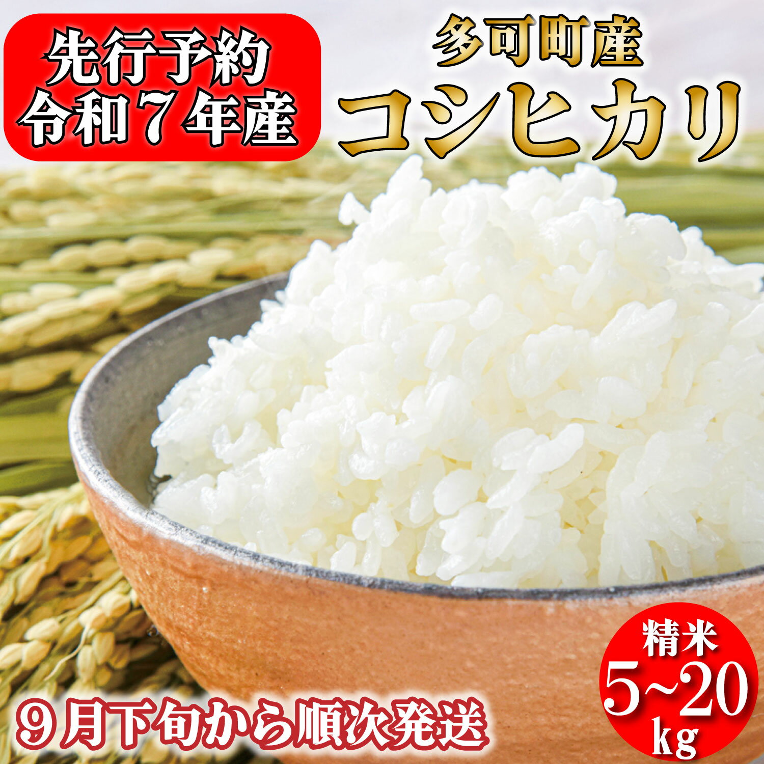 【ふるさと納税】新米予約 令和7年産 お米 コシヒカリ 精米 兵庫県多可町産