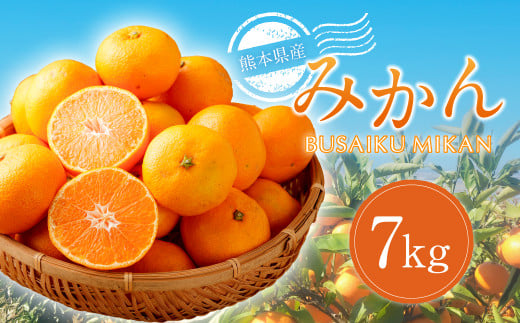 熊本県産みかん BUSAIKU MIKAN 7kg 【2025年10月上旬発送開始】 フルーツ 果物 くだもの みかん 蜜柑 柑橘