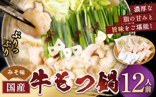 国産牛もつ鍋12人前 ちゃんぽん 濃縮スープ付（みそ味） もつ ホルモン 鍋 お鍋 セット 冷凍 岡垣町