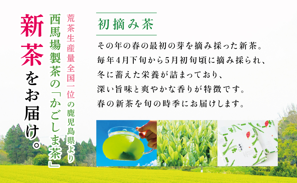 【新茶】 初摘み茶 3本セット ＜2026年：5月中旬出荷開始＞ 西馬場製茶 鹿児島県産 緑茶 かごしま茶 お茶 日本茶 茶葉 煎茶 旬 季節 リーフティー ティータイム 飲み物 ドリンク ギフト 贈答 手土産 贈り物 プレゼント 南さつま市