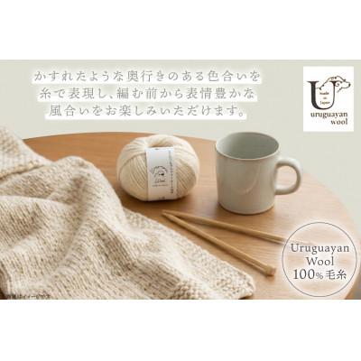 ふるさと納税 江南市 あみもねっと ウルグアイウール天然色 3番色 10玉セット |  | 01