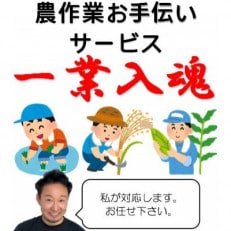 岩手県宮古市　農作業お手伝いサービス【1回(1日):7時間以内】