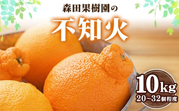 森田果樹園の不知火 10kg 20～32個程度　《2027年2月中旬-4月下旬頃出荷》森田果樹園 果物 フルーツ 柑橘 熊本---hkw_mtk_8_10kg---