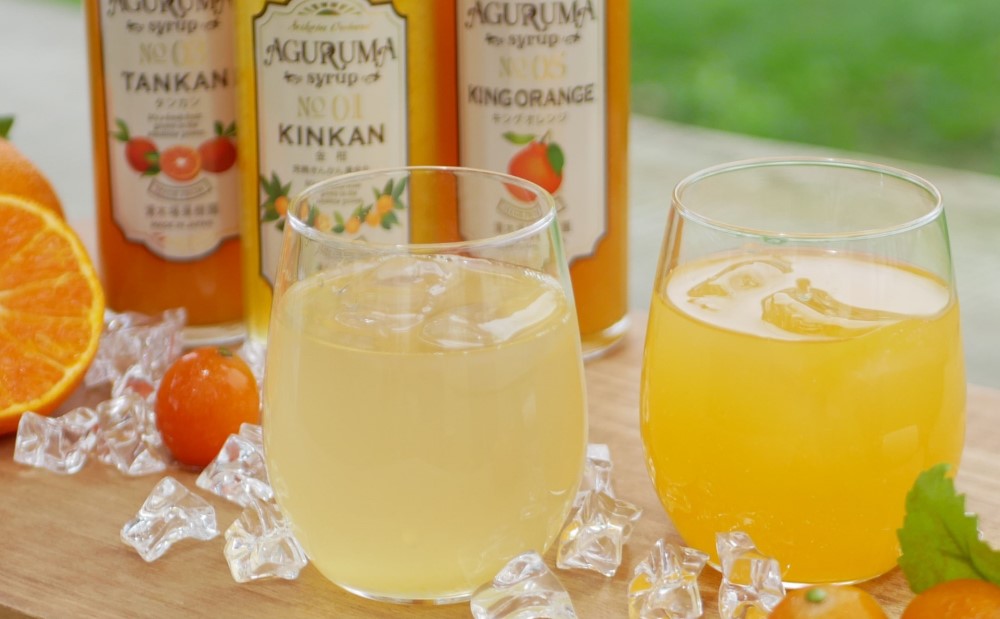 手作りフルーツシロップ 300ml×7本セット 南さつま市
