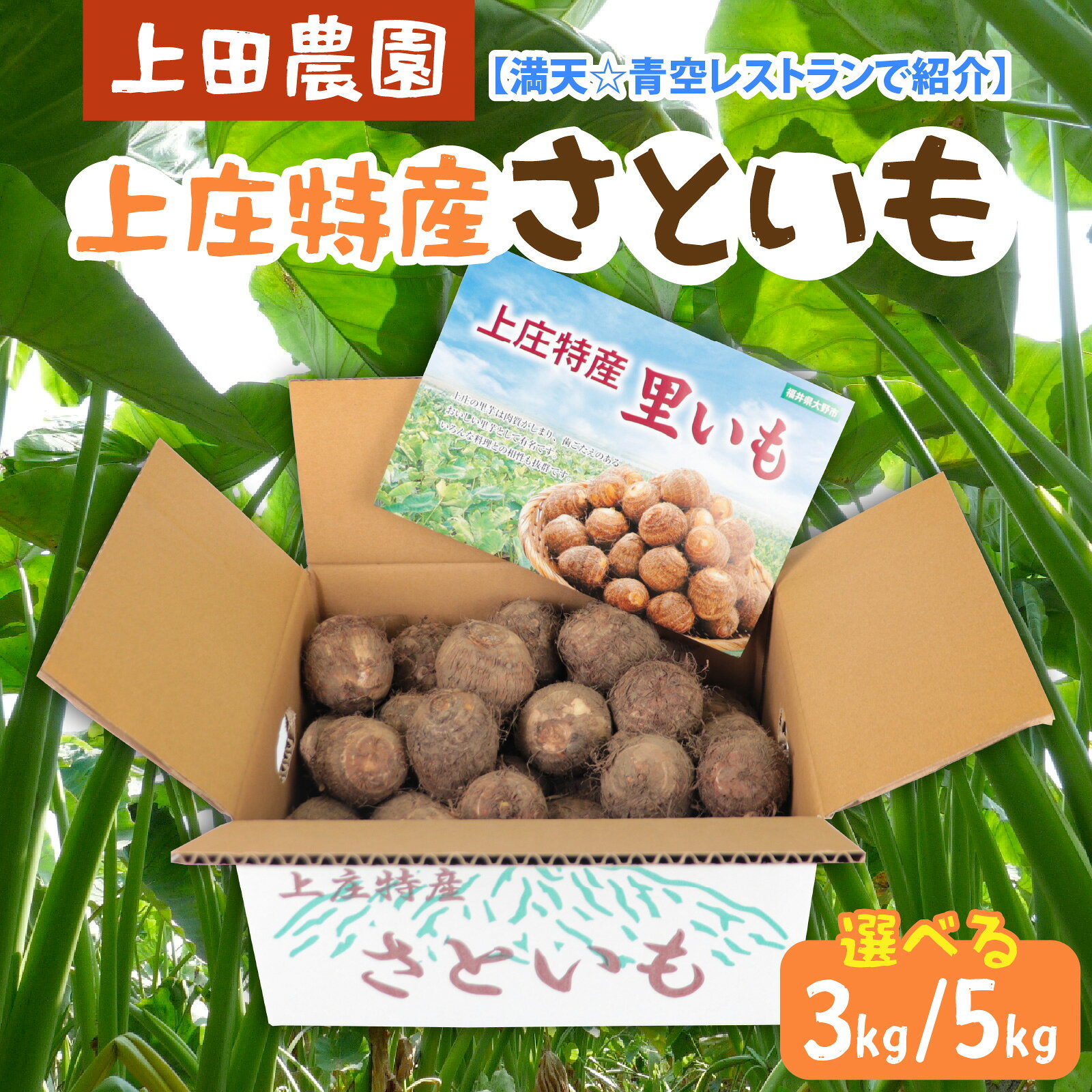 【ふるさと納税】【先行予約】【満天☆青空レストランでご紹介】【選べる容量】上田農園 上庄特産さといも 3kg～5kg【10月下旬から順次発送】[A-080001oya]|和食 根菜 煮物 送料無料