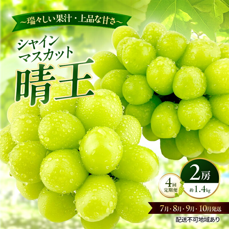 【ふるさと納税】ぶどう 2026年 先行予約 定期便 シャインマスカット 晴王 2房 約1.4kg 7月・8月・9月・10月 4回発送 岡山県産 種無し 皮ごと食べる みずみずしい 甘い 瀬戸内 晴れの国 おかやま 果物大国 満天フルーツ　お届け：2026年7月1日～2026年10月31日
