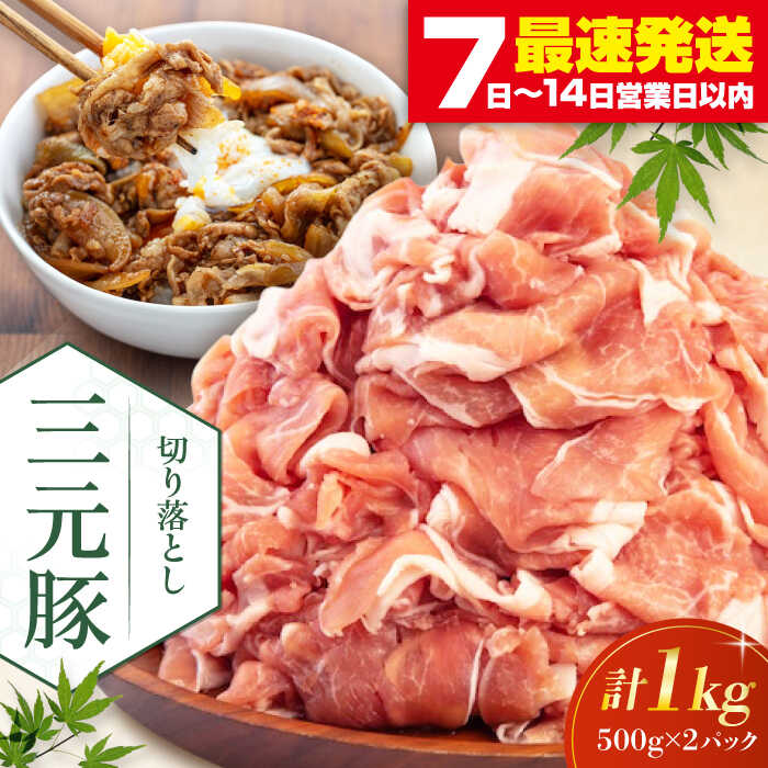 【ふるさと納税】 三元豚 切り落とし 1kg 500g 2パック 《喜茂別町》【平田牧場】 肉 豚肉 生姜焼き 小分け 冷凍 冷凍配送 北海道 平田牧場 おすすめ [AJAP005] 11000 11000円