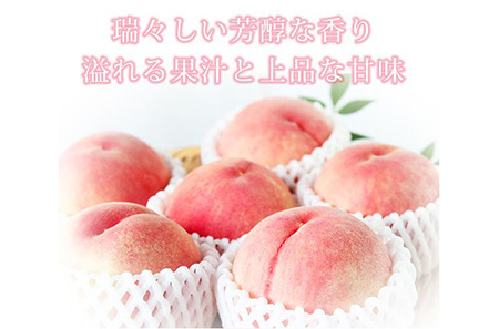紀州和歌山産の桃 約4kg 化粧箱入 ｜ 桃