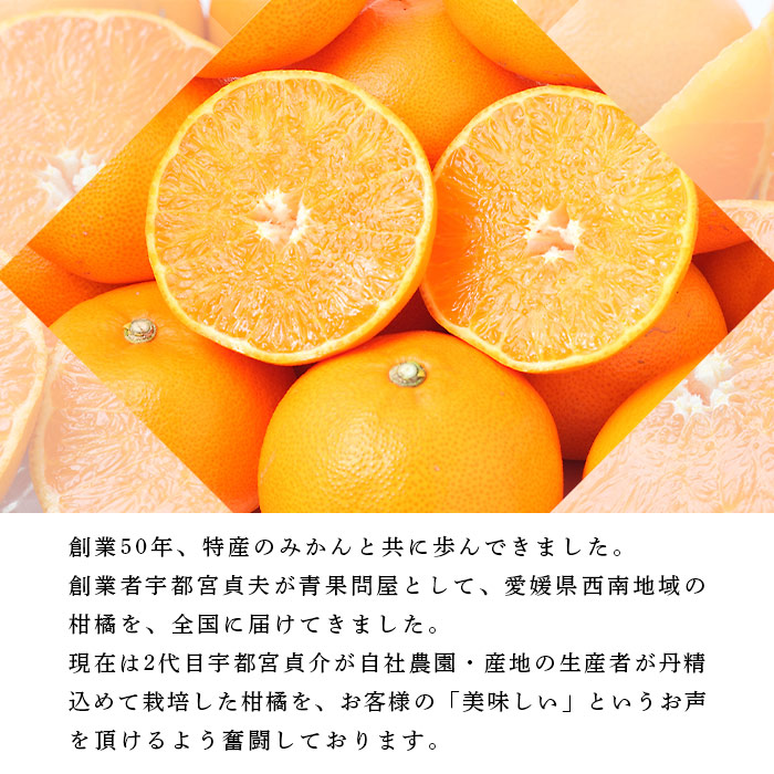 ＜愛媛県西予市産 せとか ご家庭用 約4kg＞ 訳あり 不揃い 傷 果物 フルーツ みかん ミカン 蜜柑 セトカ オレンジ 柑橘類 甘い 期間限定 食べて応援 特産品 宇都宮物産 愛媛県 西予市