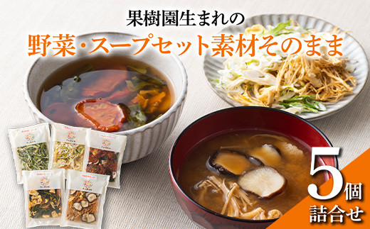 
果樹園生まれの 「野菜・スープセット素材そのまま」 5個詰合せ 『漆山果樹園』 山形県 南陽市 [493]

