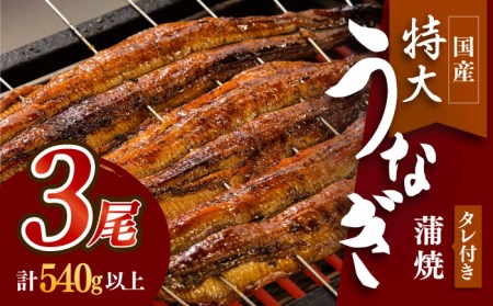 国産 鰻蒲焼 3枚セット うなぎ ウナギ 鰻[FAD002]