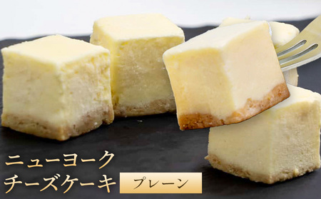 NYチーズケーキ プレーン 16個入《30日以内に出荷予定》サクセム株式会社