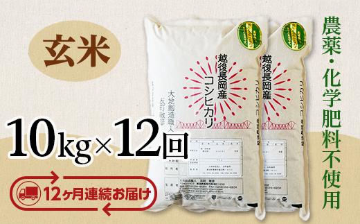 
                  E1-G10ZB【12ヶ月連続お届け】新潟県長岡産コシヒカリ玄米10kg
                