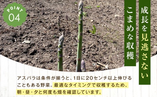 【先行予約】【訳あり】露地物朝採りアスパラ 1kg（500g×2）鮮度保持フィルム入り(2027年5月中旬発送開始予定) 【とれたて 野菜 旬 小分け 保存 産直 産地直送 お取り寄せ 旭川市 北海道