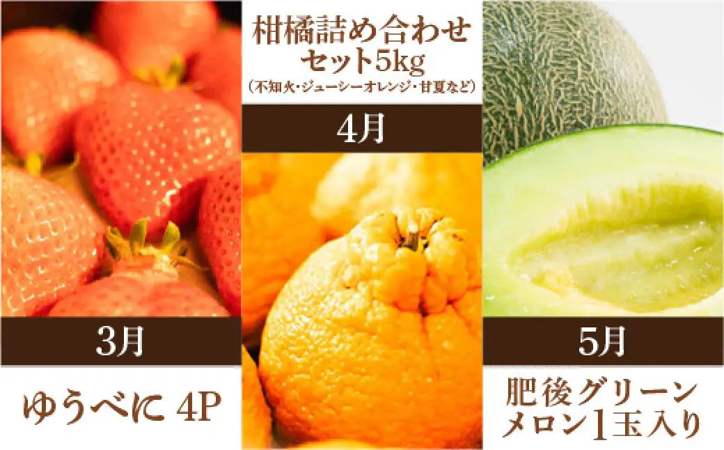 ＜ R8年熊本地震復興支援 ＞プロが選ぶ！旬の果物 10ヶ月定期便 【2027年3月上旬～12月下旬発送予定】 フルーツ いちご 柑橘 メロン スイカ シャインマスカット 梨