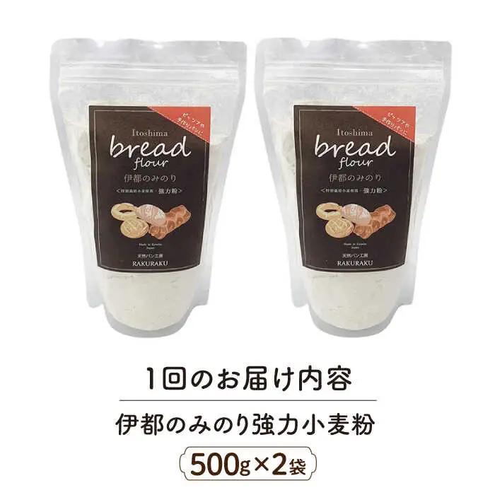 【全3回定期便】特別栽培 小麦 使用 伊都 の みのり( 500g × 2袋 )糸島市 / 天然パン工房楽楽【いとしまごころ】 [AVC066]