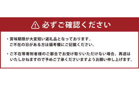 不知火（しらぬい）約4kg みかん ミカン 蜜柑 果物 フルーツ 不知火【2026年3月下旬～4月下旬発送予定】