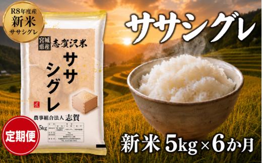 【 令和8年産 】新米 ササシグレ 定期便 5kg 6ヶ月 おこめ お米 白米 精米 コメ ライス ごはん ご飯 国産米 希少 幻の米 幻 まぼろし プレミアム キレ 高級 あっさり さっぱり 和食 飽きない 香り 大粒 食味 冷めてもおいしい 一度は食べてみたい 米の貴婦人 志賀沢米 岩沼産米