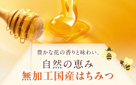 はちみつ しな蜜 500g チューブ 2本 ハニー 国産 [AJAS029]