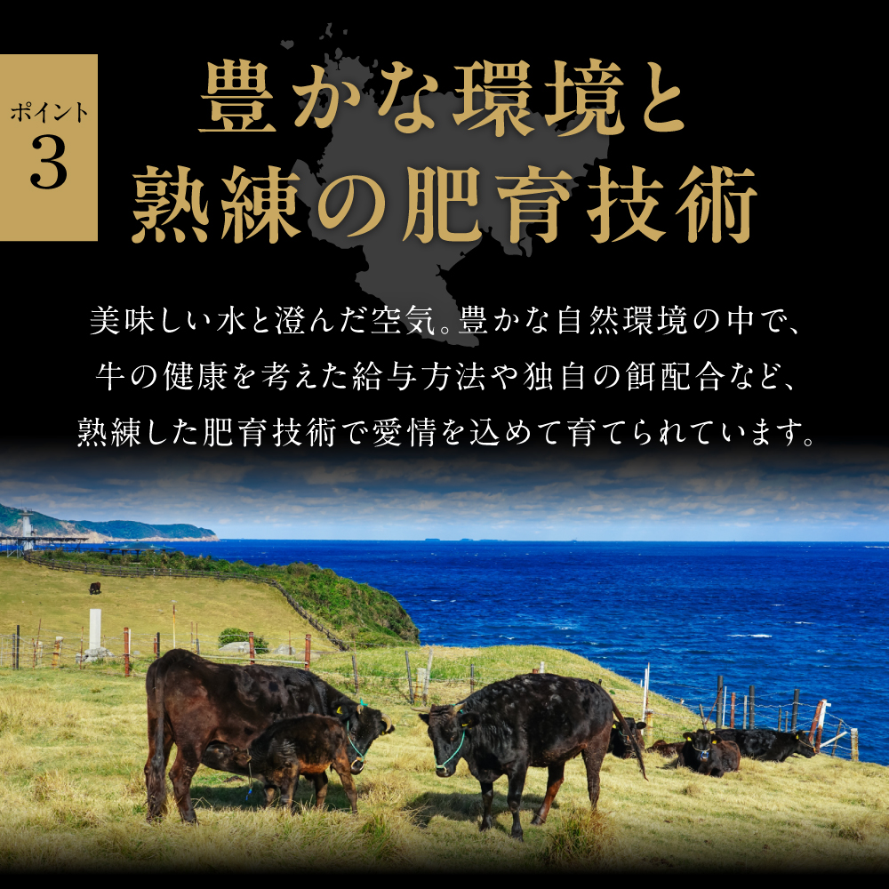 A5 A4 佐賀牛ローストビーフ J327