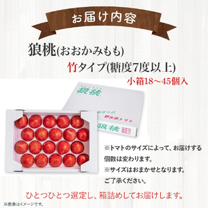 【先行予約／2025年2月下旬から発送】四万十育ち「狼桃」 糖度7度以上　竹タイプ（18～24個入）小箱 Fdf-07　／フルーツトマト しまんと 高知 贈答 ギフト プレゼント 贈り物 お取り寄せ 