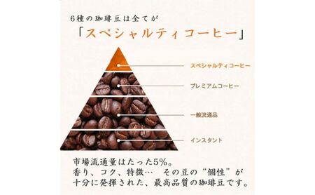 スペシャルティコーヒー6ヵ国　ワールドトラベルセット コーヒー（豆）