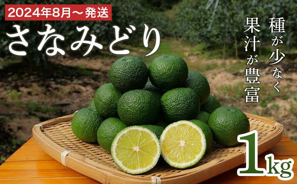 
【2024年8月～発送】さなみどり すだち 1kg
