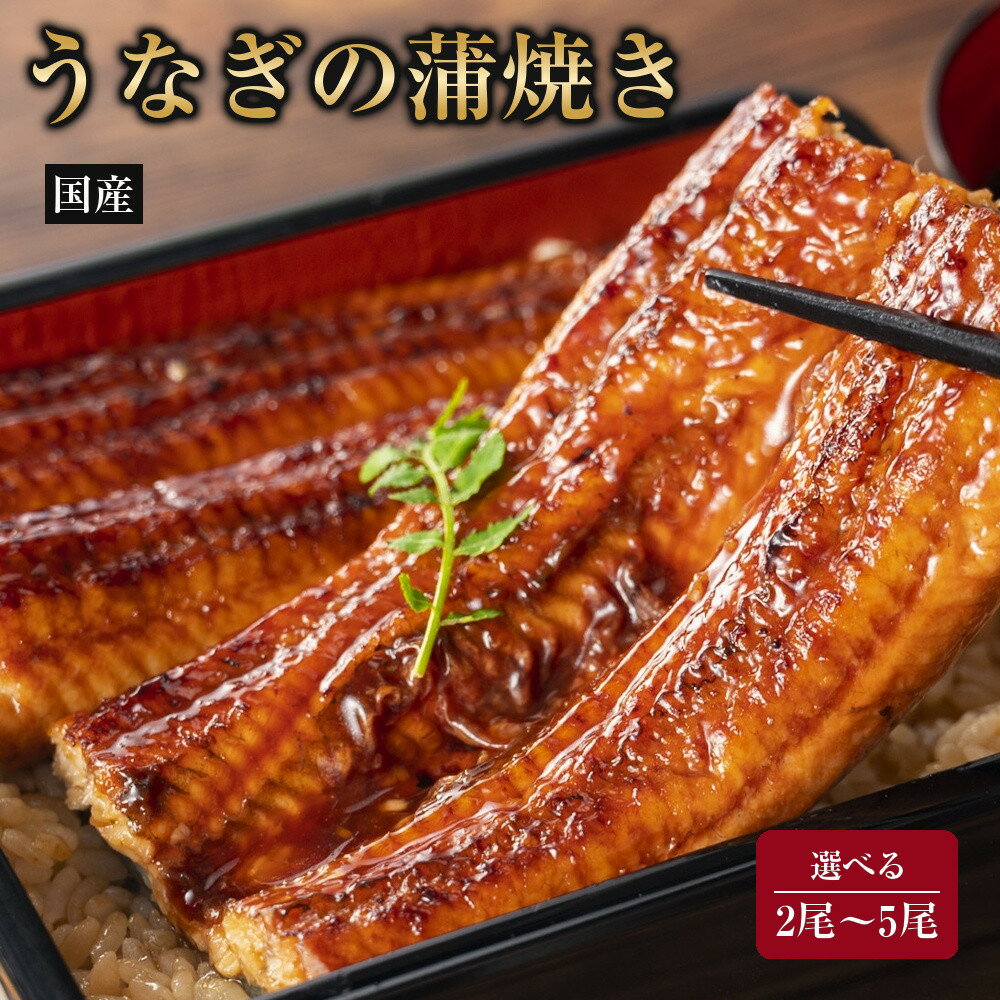 【ふるさと納税】国産うなぎの蒲焼き 2尾〜5尾 | ふっくら焼き上げ 炭火 秘伝のたれ 鰻 ウナギ グルメ 夏バテ対策 スタミナ料理 ギフト プレゼント 人気 おすすめ 送料無料