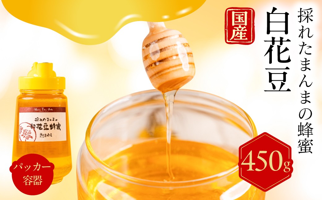 
                  【国産蜂蜜】白花豆　パッカー容器　450g 種田養蜂場 パッカー容器｜はちみつ 蜂蜜 ハチミツ 純粋はちみつ 天然はちみつ 国産はちみつ 非加熱はちみつ 生はちみつ  白花豆はちみつ 百花蜜 非加熱 無添加 純粋蜂蜜 天然 国産蜂蜜 完熟 濃厚 希少 保存 美味しい ギフト 贈答 プレゼント 種田養蜂場 岐阜県 大垣市
                