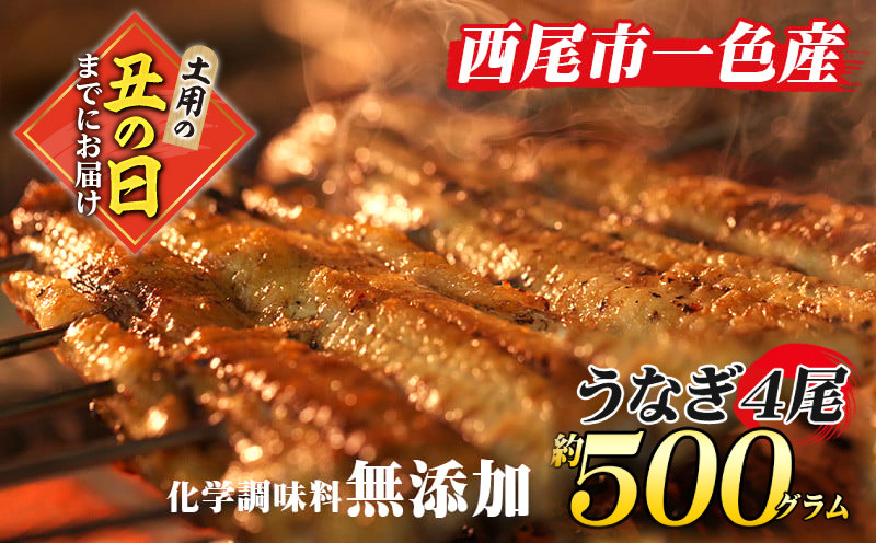 
【土用の丑の日までにお届け】手焼き　三河一色産　うなぎ蒲焼4尾（約500ｇ）和食処愛お奨めの逸品！　無頭 鰻 ウナギ うなぎ 蒲焼 国産 うなぎ蒲焼 タレ付き たれ 国産うなぎ 蒲焼き うな丼 丑の日 土用の丑の日 ・A131-26
