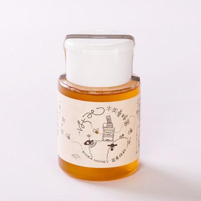 ふるさと納税 和泉市 道の駅で大人気のハチミツ(使い勝手の良いプラ容器300g×2本)