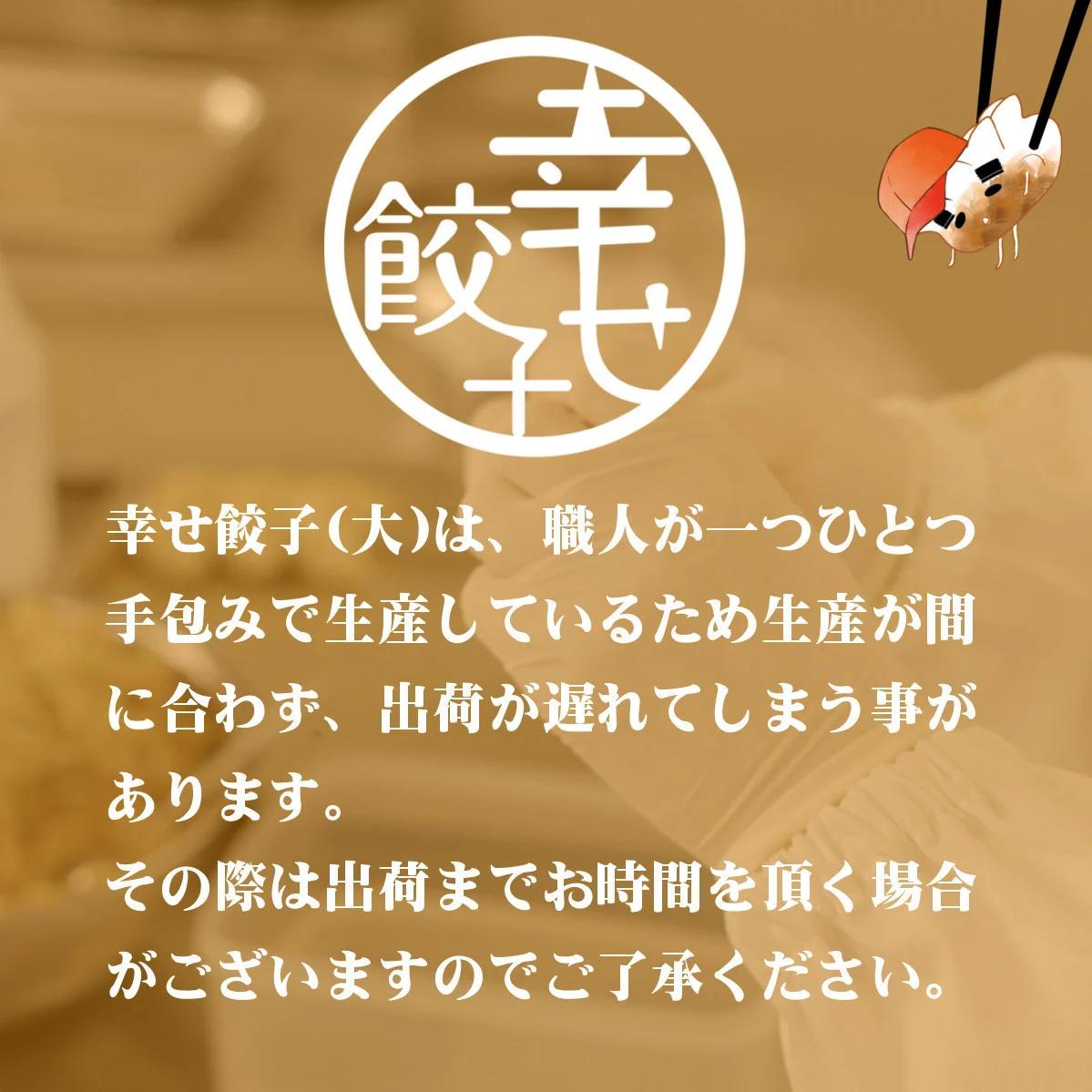 006-20-1幸せ餃子のボリューム満点こだわり大餃子（2箱）/ 餃子 ギョウザ 手作り ジャンボ餃子 １０個入り ２箱 冷凍 食品 おかず 冷凍 食品 おかず 国産 国産野菜 高座豚 ぎょうざ ギョ